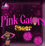 -> All Star Cheer <-