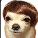 poopypuppyclan