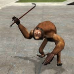 Code Monkeys