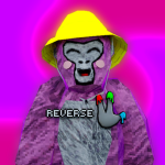 Reverse Studios | RS