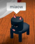 Bubblyrblx0