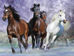 The Riders Group.