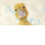 Duck and Mango
