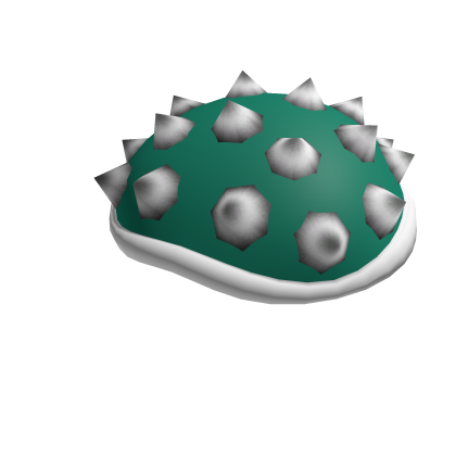 Turtle Shell Helmet