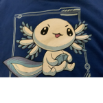 Axolotl,s unite