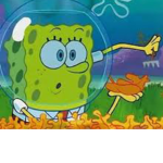 Sponge Support