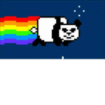 nyanpanda