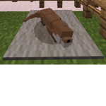 LuhCora