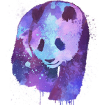 ~Purple Panda Squad~