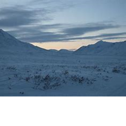 Gleeful Labs: Glacier