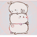 Funny Bunnys <3