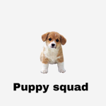 Puppy squad.