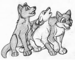 the pack of dogs