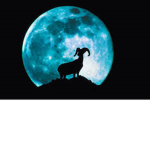 Cold Blooded Moon Rammers