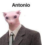 Rodovia do ES