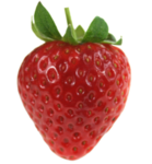 STRAWBERRIES TIME!