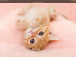 Cat official join if you like cats