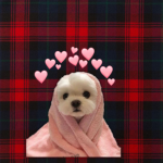 puppies~