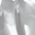 · azurea ·