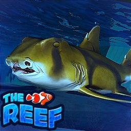 Before game thumbnail