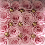 MysticalPinkRoses' Garden