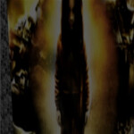 FYF: Adventure In Interference // -2009- Classic