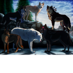 wolf pack234