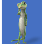 Geicoo