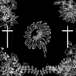 When Daisies Bloom