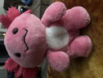 Axolotl kingdom69