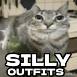 Silly Cat Outfits