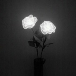 all