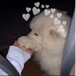 TT Welcome TT