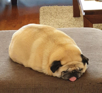 THE CHUNKY PUGS
