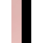 Anixitto