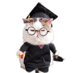Kitten/cat fan group
