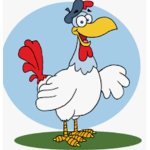 THE SIR CHICKENS