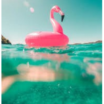 (admin specs!) [Modded] Project JoJo