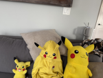 furball club