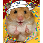Hammy admin