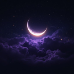 MoonLight Teamz