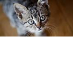 test12345678