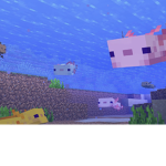 The axoloti team