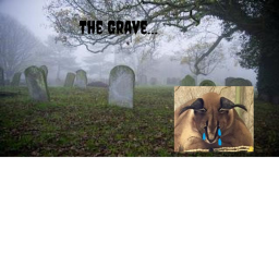The Grave...