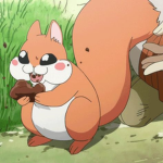 squirrelacorn awsome squirrel chan fan group