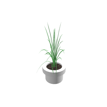 Potted Table Plant