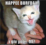 Animal Lovers : )