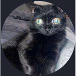 We love dogs and cats group