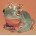 Swimhoops frogs