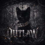 ¥ OutLaw ¥